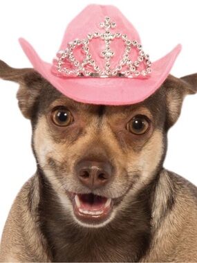 Rubie's Pink Cowboy Hat with Rhinestone Tiara Dog Costume Accessory